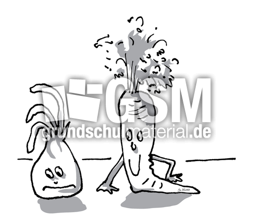 Karotte und Zwiebel 8.jpg